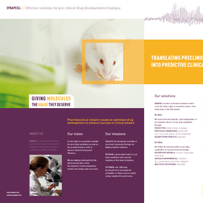 charte graphique, Synapcell, bienvenue sur mars agence communication grenoble, lyon, valence, chambery, annecy
